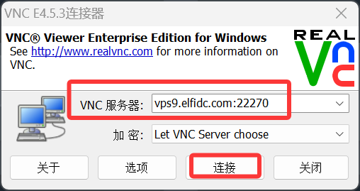 VNC 连接器填写地址并连接